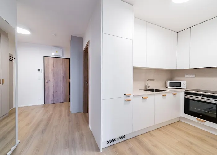 Apartment Mozaika
